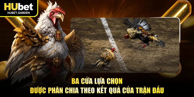 Ba cửa lựa chọn được phân chia theo kết quả của trận đấu