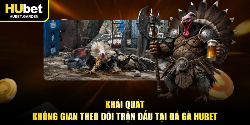 Khái quát không gian theo dõi trận đấu tại đá gà HUBET
